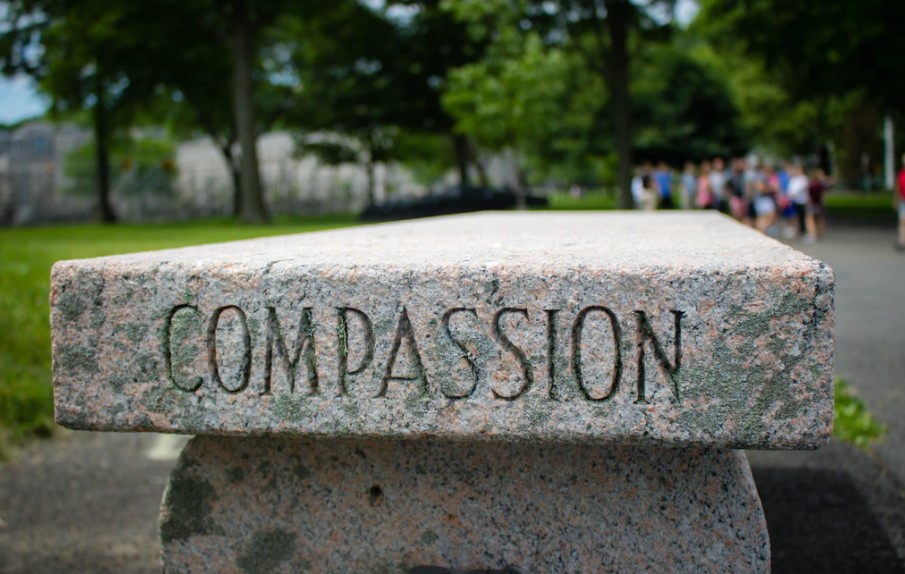 compasion-refugio-sufrimiento